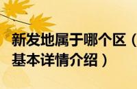 新发地属于哪个区（关于新发地属于哪个区的基本详情介绍）