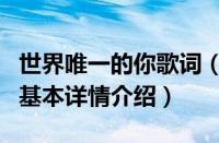 世界唯一的你歌词（关于世界唯一的你歌词的基本详情介绍）