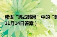 成语“鸠占鹊巢”中的“鹊”通常指的是（支付宝蚂蚁庄园11月14日答案）