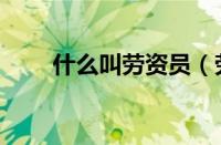 什么叫劳资员（劳资员是干什么的）