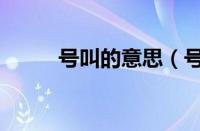号叫的意思（号叫的意思和拼音）