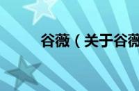谷薇（关于谷薇的基本详情介绍）