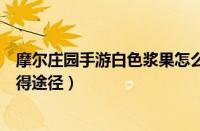 摩尔庄园手游白色浆果怎么获得（摩尔庄园手游白色浆果获得途径）
