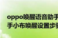 oppo唤醒语音助手小布教程（oppo语音助手小布唤醒设置步骤）