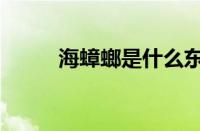 海蟑螂是什么东西（海里的蟑螂）