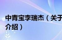 中青宝李瑞杰（关于中青宝李瑞杰的基本详情介绍）