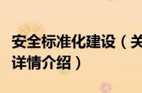 安全标准化建设（关于安全标准化建设的基本详情介绍）