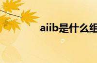 aiib是什么组织（aiib全称）