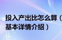 投入产出比怎么算（关于投入产出比怎么算的基本详情介绍）