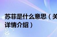 苏菲是什么意思（关于苏菲是什么意思的基本详情介绍）
