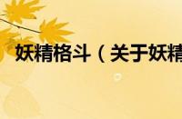 妖精格斗（关于妖精格斗的基本详情介绍）