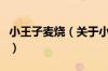 小王子麦烧（关于小王子麦烧的基本详情介绍）
