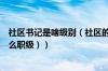 社区书记是啥级别（社区的书记是什么级别（社区书记是什么职级））