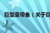 巨型皇带鱼（关于巨型皇带鱼的基本详情介绍）