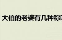 大伯的老婆有几种称呼（大伯的老婆叫什么）