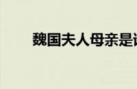 魏国夫人母亲是谁（魏国夫人简介）