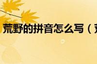 荒野的拼音怎么写（荒野的拼音怎么写的拼）