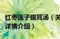 红枣莲子银耳汤（关于红枣莲子银耳汤的基本详情介绍）