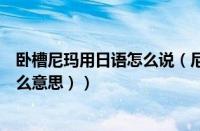 卧槽尼玛用日语怎么说（尼玛是什么意思啊（卧槽尼玛是什么意思））