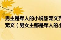 男主是军人的小说甜宠文完结（男主是军人女主是大学生的宠文（男女主都是军人的小说甜宠文））