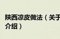 陕西凉皮做法（关于陕西凉皮做法的基本详情介绍）