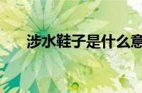 涉水鞋子是什么意思（涉水鞋的特点）