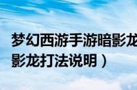 梦幻西游手游暗影龙怎么打（梦幻西游手游暗影龙打法说明）