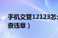 手机交管12123怎么查询违章（12123如何查违章）