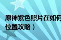原神紫色照片在如何拍（原神带紫色生物照片位置攻略）