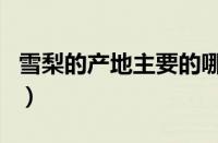 雪梨的产地主要的哪里（雪梨产地在什么地方）