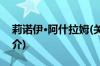 莉诺伊·阿什拉姆(关于莉诺伊·阿什拉姆的简介)
