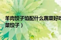 羊肉饺子馅配什么蔬菜好吃（羊肉饺子馅配什么蔬菜羊肉白菜饺子）
