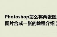 Photoshop怎么将两张图片合成一张（Photoshop将两张图片合成一张的教程介绍）