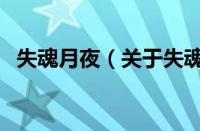 失魂月夜（关于失魂月夜的基本详情介绍）