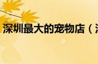 深圳最大的宠物店（深圳比较出名的宠物店）