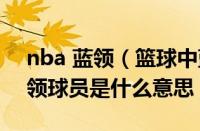 nba 蓝领（篮球中蓝领是什么意思（nba蓝领球员是什么意思））