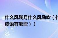 什么风残月什么风劲吹（什么风残月的成语（什么风残月的成语有哪些））