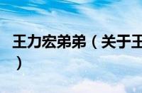 王力宏弟弟（关于王力宏弟弟的基本详情介绍）