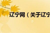 辽宁网（关于辽宁网的基本详情介绍）