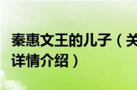秦惠文王的儿子（关于秦惠文王的儿子的基本详情介绍）