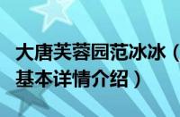 大唐芙蓉园范冰冰（关于大唐芙蓉园范冰冰的基本详情介绍）