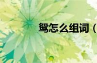 鸳怎么组词（鸳组词有哪些）
