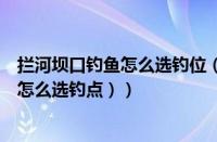 拦河坝口钓鱼怎么选钓位（拦河大坝坝下钓鱼（拦河坝钓鱼怎么选钓点））