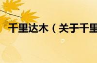 千里达木（关于千里达木的基本详情介绍）