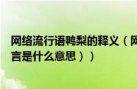 网络流行语鸭梨的释义（网络鸭梨指什么意思（鸭梨网络语言是什么意思））