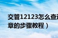 交管12123怎么查违章（交管12123查询违章的步骤教程）