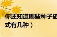 你还知道哪些种子旅行的方法（种子的旅行方式有几种）