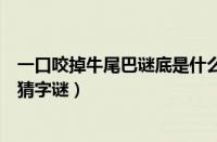 一口咬掉牛尾巴谜底是什么字（一口咬掉牛尾巴谜底是什么猜字谜）