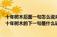 十年树木后面一句怎么说来着（十年树木的下一句是什么（十年树木的下一句是什么谚语））