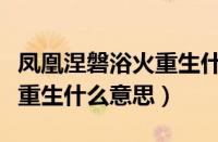凤凰涅磐浴火重生什么意思啊（凤凰涅槃浴火重生什么意思）